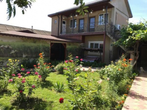 Casa Lenuta